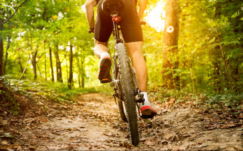 Rutas en bicicleta por la Ribera Navarra