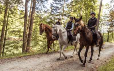 Ruta a caballo por la Ribera