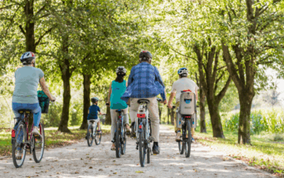 Jornada de ciclismo por la Ribera Navarra