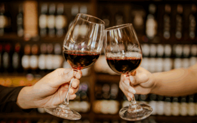 Rutas del vino en Navarra